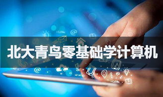 零基礎(chǔ)入門軟件開發(fā) 可能之路與學(xué)習(xí)指南